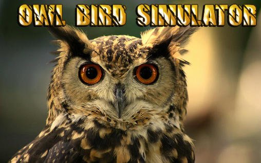 download Owl bird simulator apk